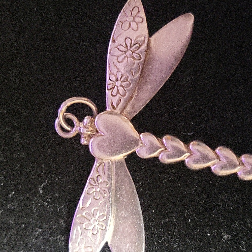 Dragonfly - Picture 3 of 3